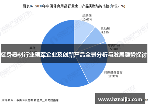健身器材行业领军企业及创新产品全景分析与发展趋势探讨